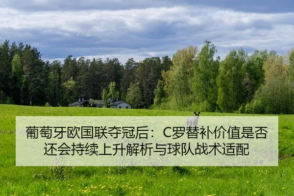 pu-tao-ya-ou-guo-lian-duo-guan-hou-luo-ti-bu-jia-zhi-shi-fou-hai-hui-chi-xu-shang-sheng-jie-xi-yu-qiu-dui-zhan-shu-shi-2-684.jpg