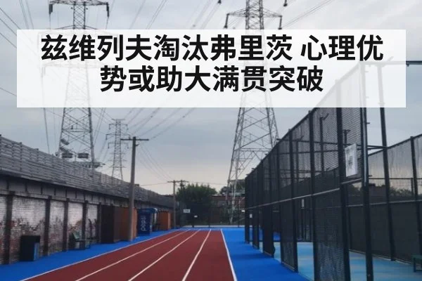 兹维列夫淘汰弗里茨 心理优势或助大满贯突破